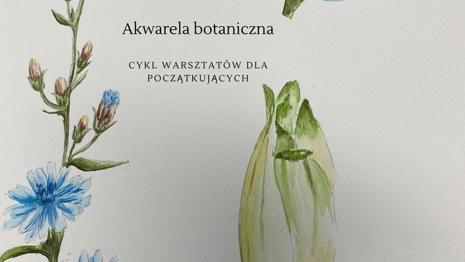 Akwarela botaniczna/ warsztaty dla początkujących/cykl wrześniowy