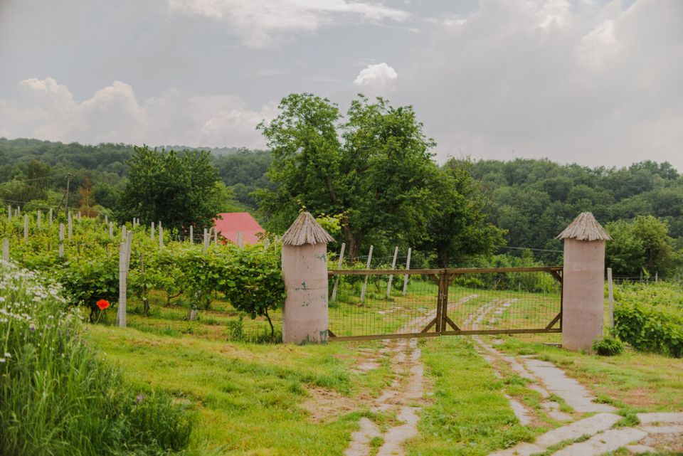 #9 Towarzyskie Wyjazdy z Małgosią - Lubelskie Winobranie - Nałęczów - Winnica Rubinowa