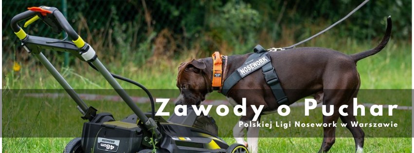 Zawody Polskiej Ligi Nosework o Puchar Wojtków Szkolenia w Warszawie