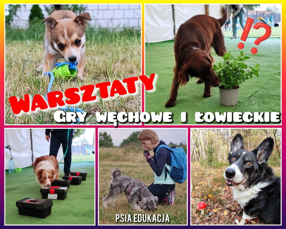 [brak miejsc] Gry Węchowe i Łowieckie - Warsztaty