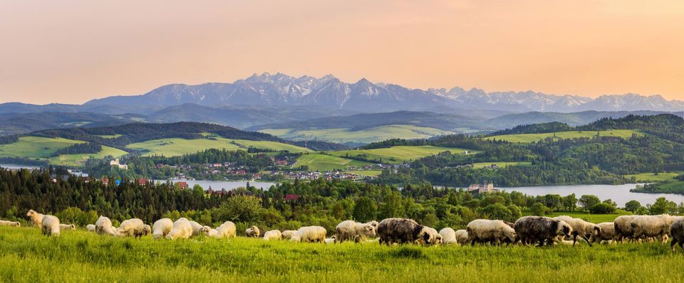 Jesienny Trekking w Pieninach + Redyk czyli kultowy spęd owiec