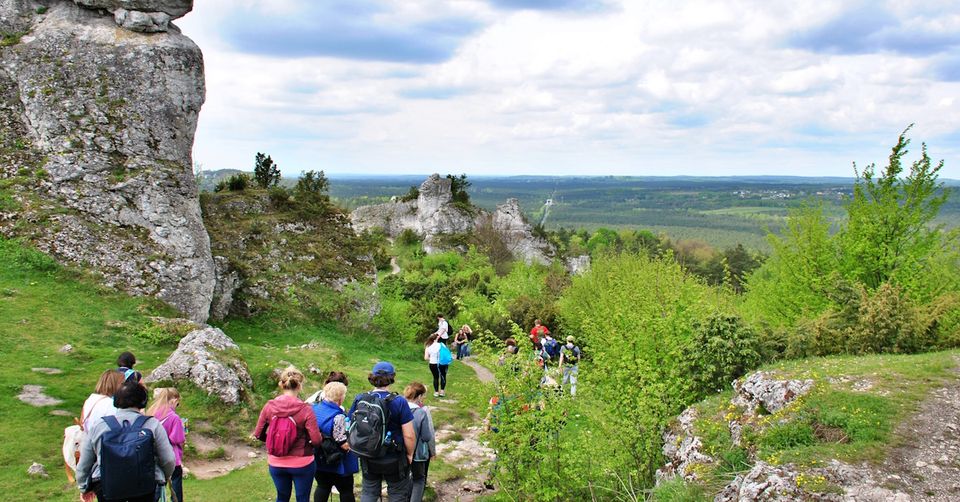 Jurajska wędrówka z przewodnikiem #4 [Zamek Morsko, Góra Zborów, Skałki Rzędkowickie, Żarki]