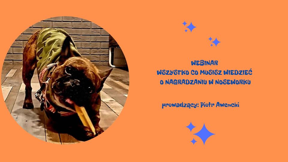 Webinar – wszystko co musisz wiedzieć o nagradzaniu w noseworku