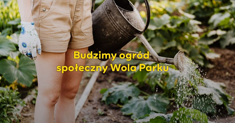 Ogród Codzienny – społeczny ogród Wola Parku