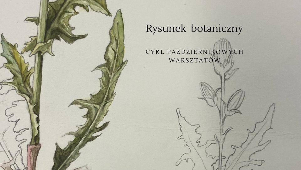 Rysunek botaniczny/ cykl warsztatów dla początkujących