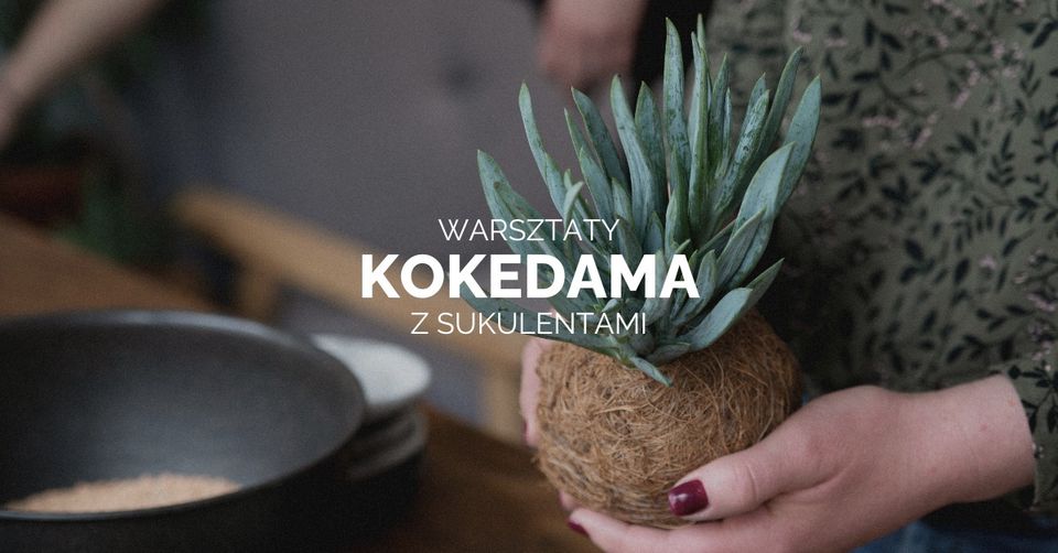 Warsztaty 'Kokedama z Sukulentami' – Stwórz Zielone Dekoracje w JK Studio