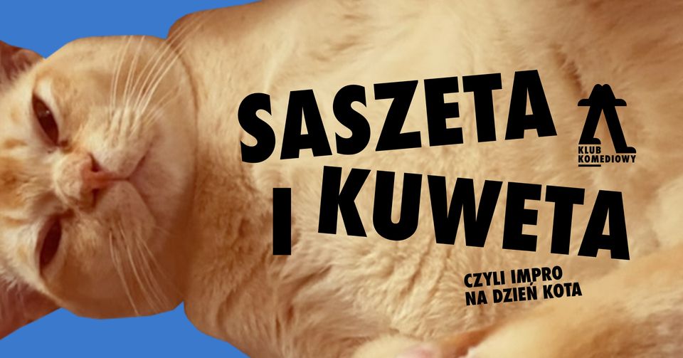 Saszeta i kuweta, czyli impro dla kociar/zy | [16.11]