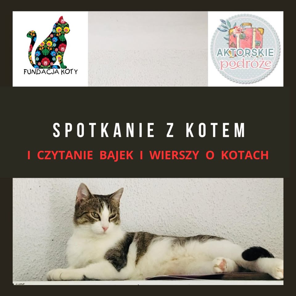 Spotkanie z kotem i czytanie bajek i wierszy o kotach. Dzieci 5-10 lat +rodzic