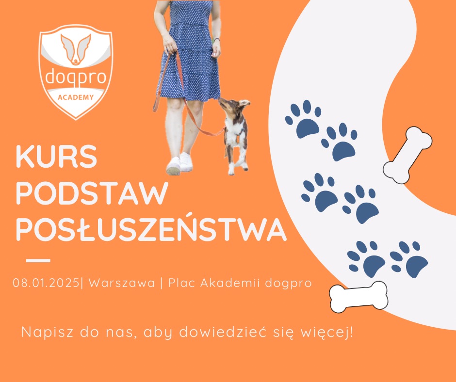 Kurs podstaw posłuszeństwa