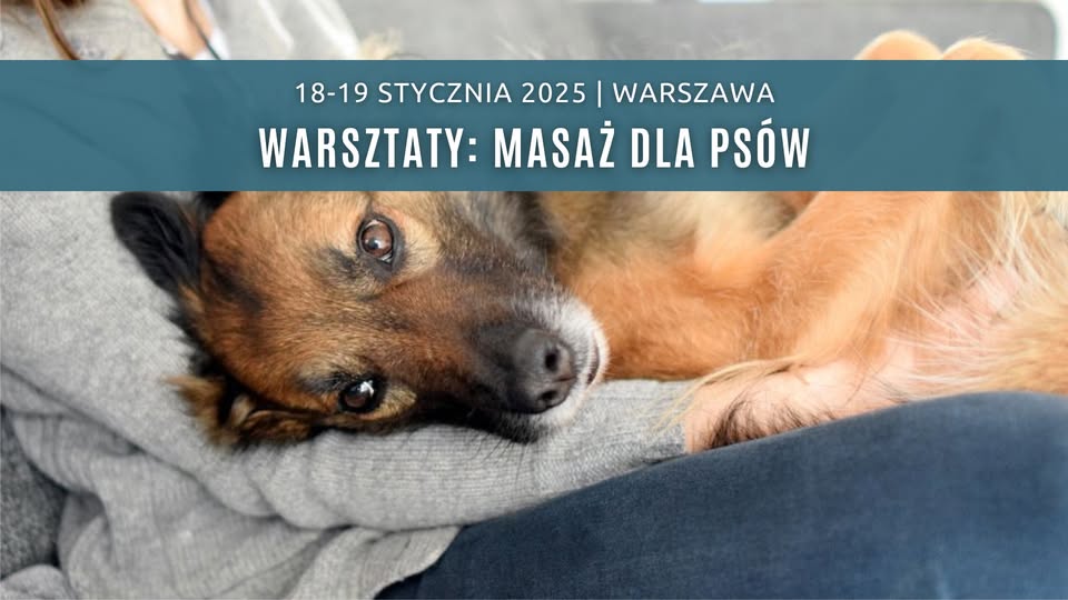 Warsztaty: Masaż dla psów - Co pies na to?