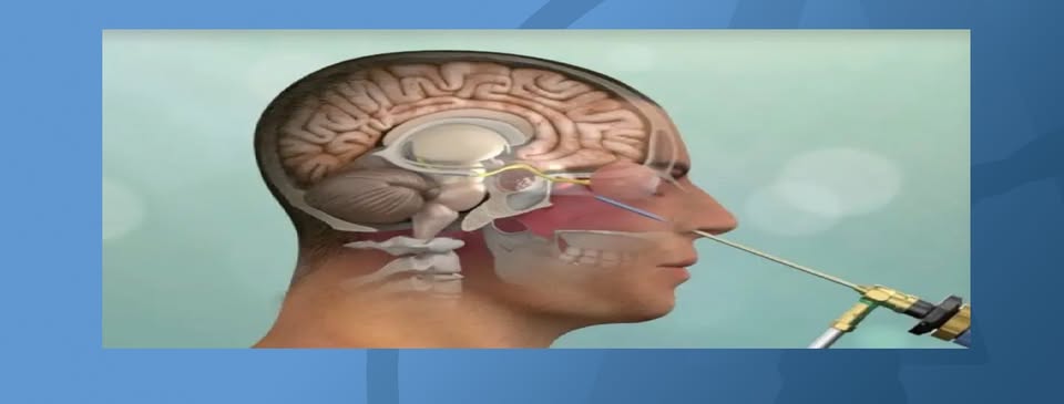 III Spotkanie Sekcji Neuroanatomii