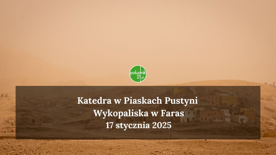 Katedra w Piaskach Pustyni – Wykopaliska w Faras