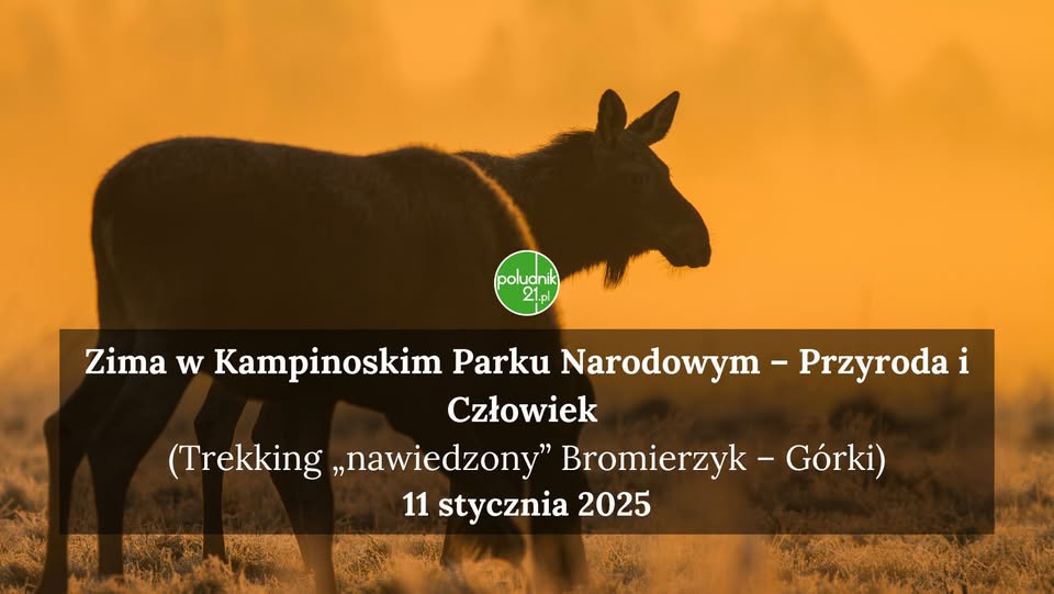 Zima w Kampinoskim Parku Narodowym – Przyroda i Człowiek (Trekking „nawiedzony” Bromierzyk – Górki)