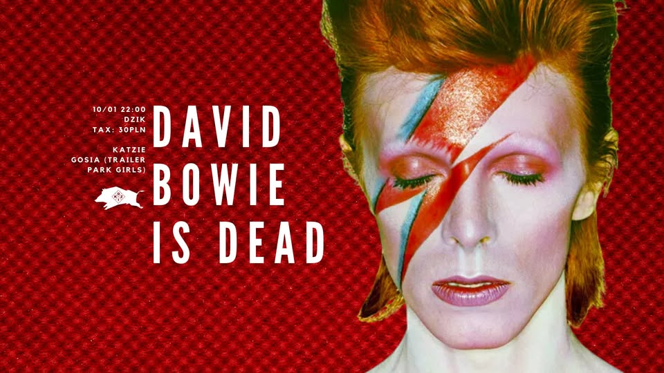 ↯ DAVID BOWIE IS DEAD ↯ Katzie & Gosia