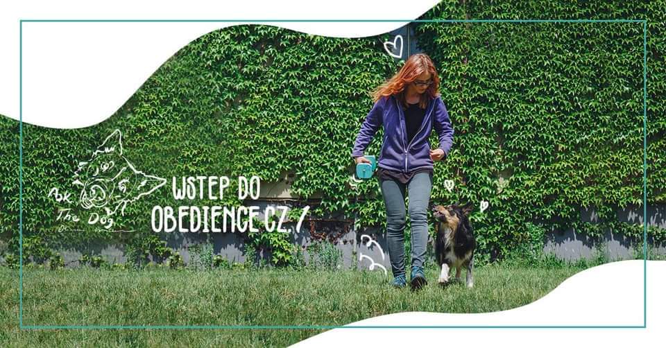 Wstęp do Obedience Cz.1