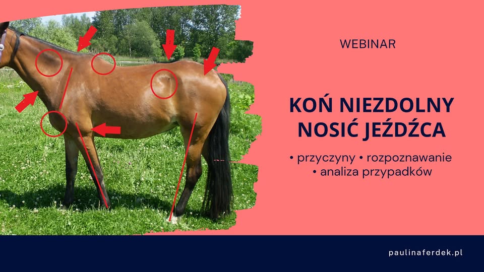 Syndrom Topline, WEBINAR