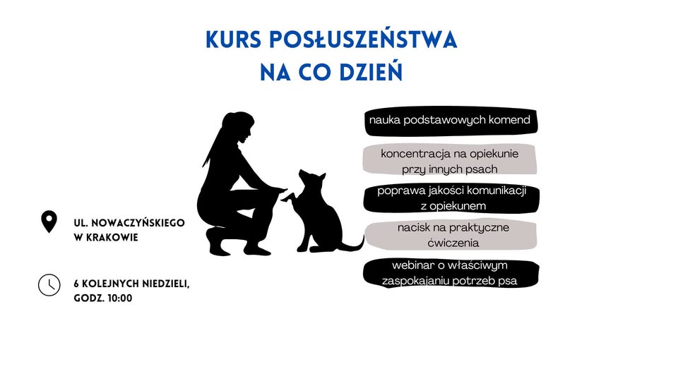 Kurs posłuszeństwa na co dzień