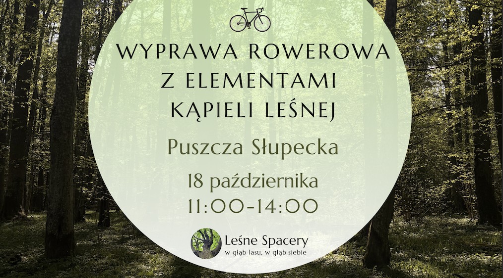 Wyprawa rowerowa z elementami kąpieli leśnej